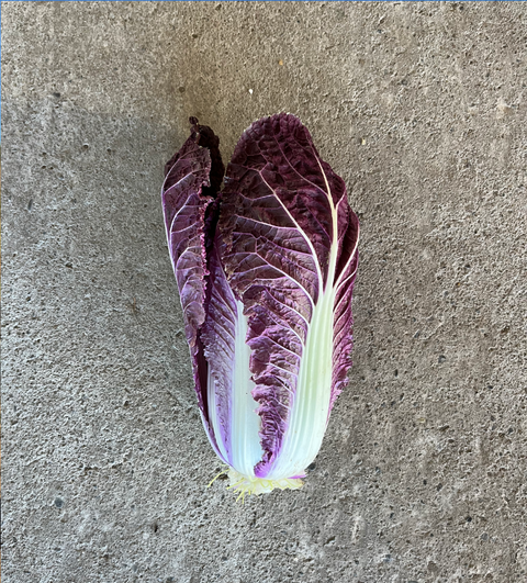 Repollo Chino Merlot